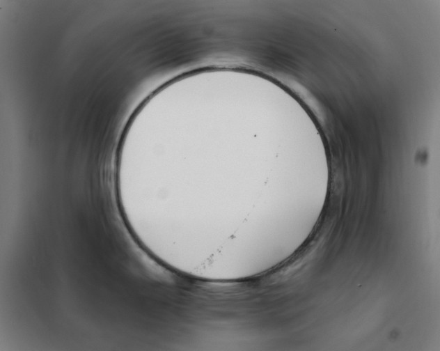 X0000101411343200808041055