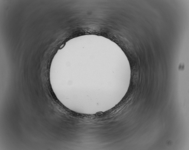 X0000101411345200808041055