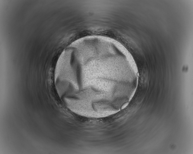 X0000101411346200808041055