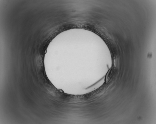 X0000101411347200808041055