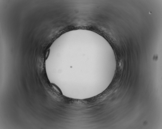 X0000101411348200808041054