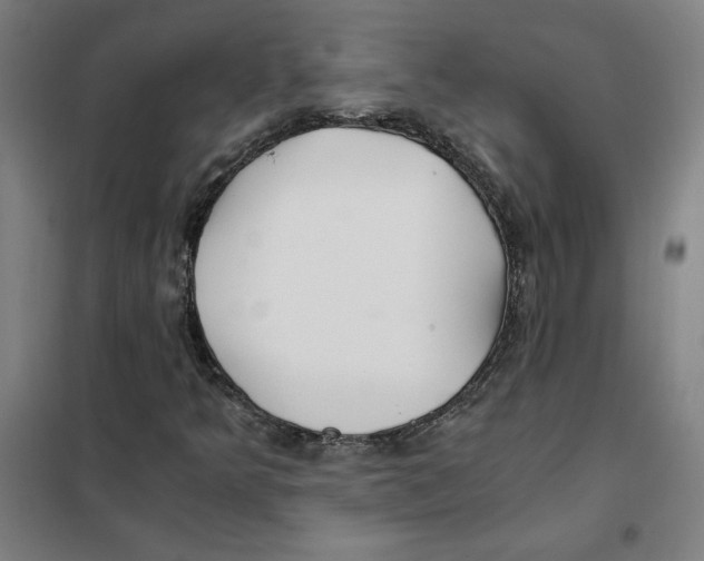 X0000101411349200808041054