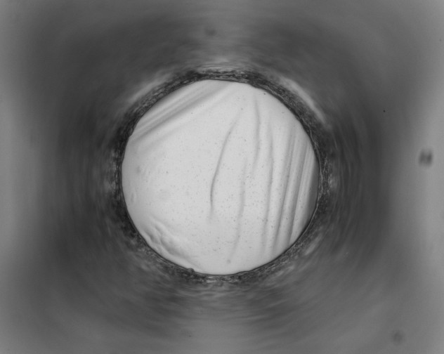 X0000101411350200808041054