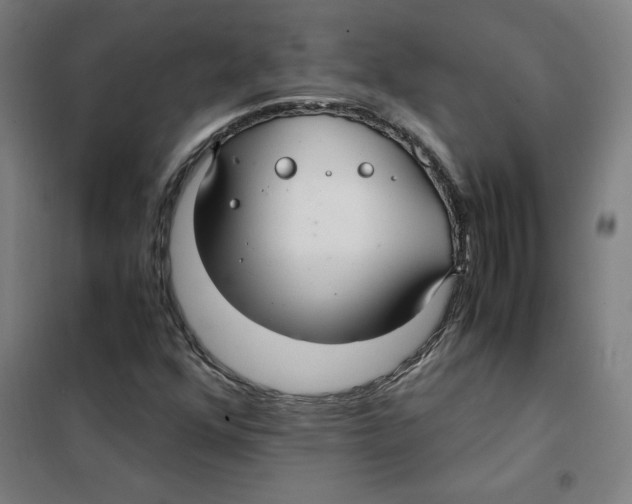 X0000101411352200808041054