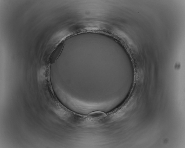X0000101411353200808041054