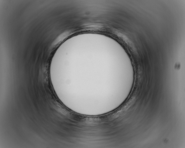 X0000101411354200808041054