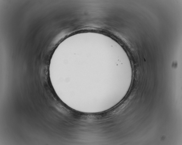 X0000101411355200808041054