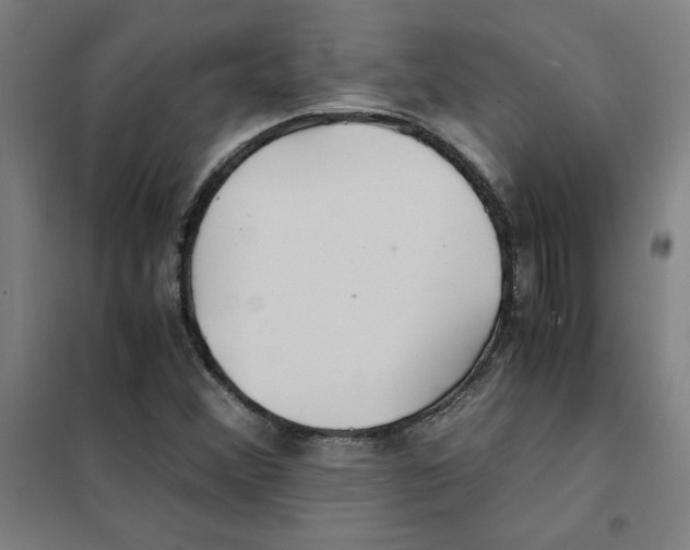 X0000101411356200808041054
