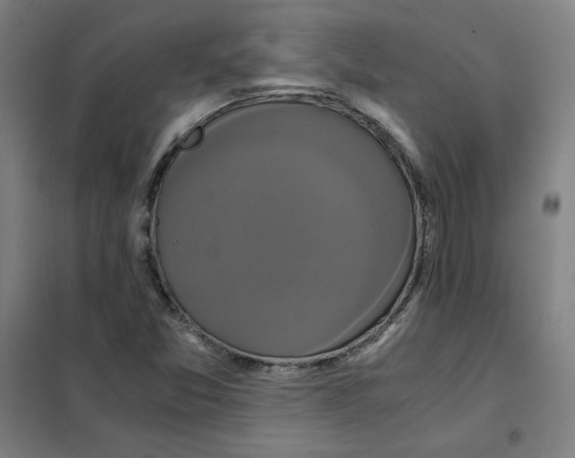 X0000101411357200808041054