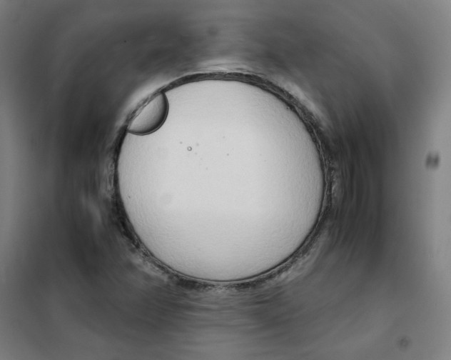 X0000101411358200808041054