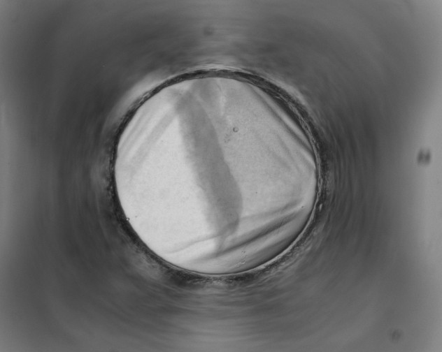 X0000101411359200808041054