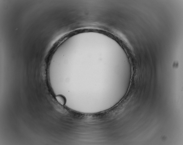X0000101411360200808041054