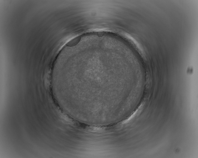 X0000101411361200808041054