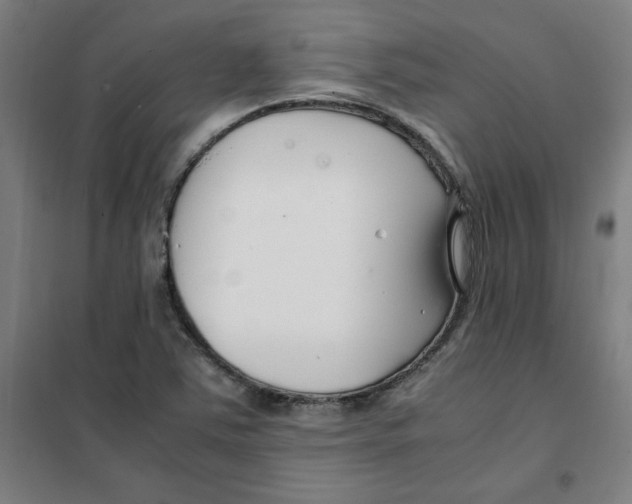 X0000101411363200808041054