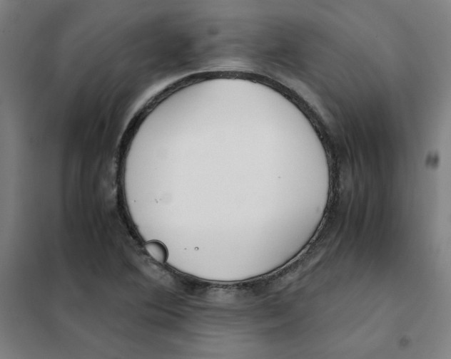 X0000101411364200808041054
