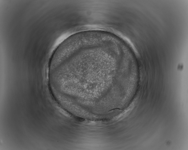 X0000101411365200808041054