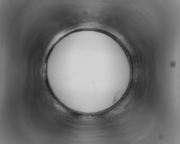 X0000101411366200808041054