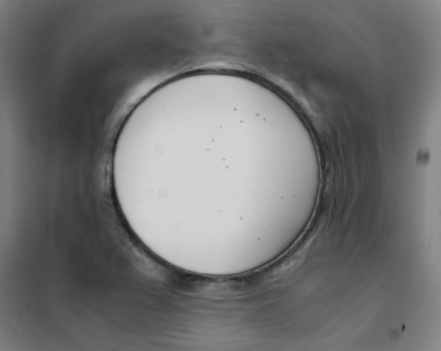 X0000101411367200808041054