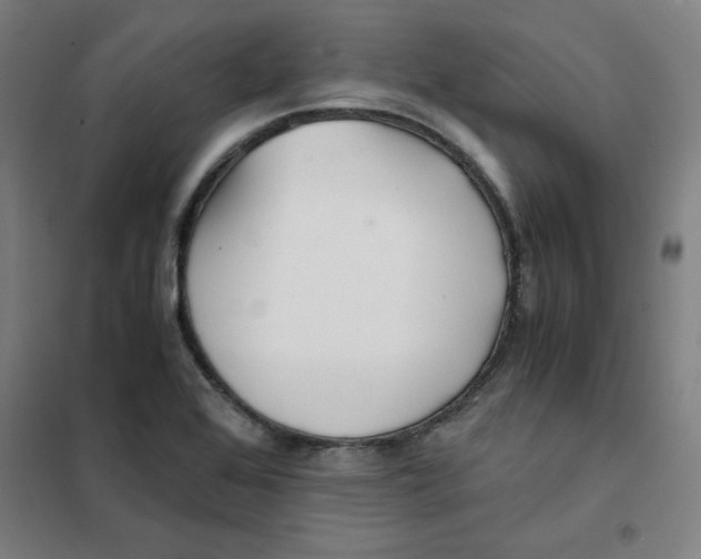 X0000101411368200808041054