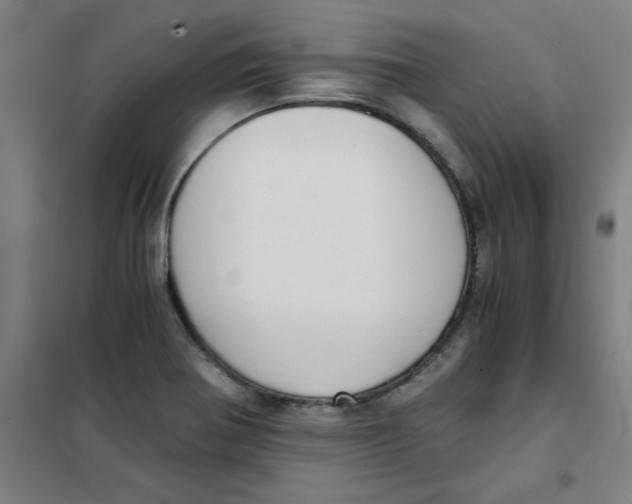 X0000101411370200808041054