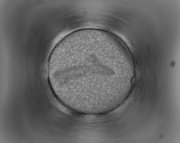 X0000101411371200808041054