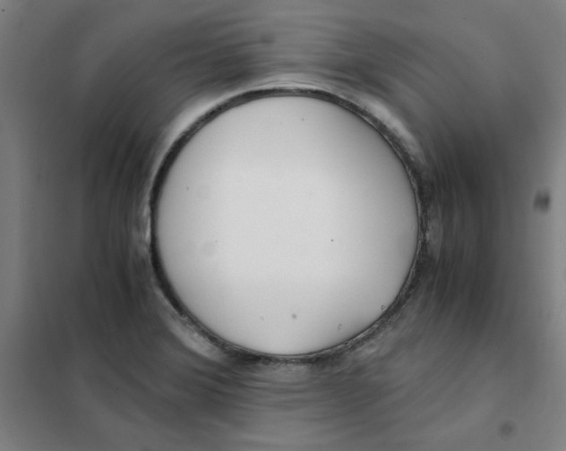 X0000101411372200808041054