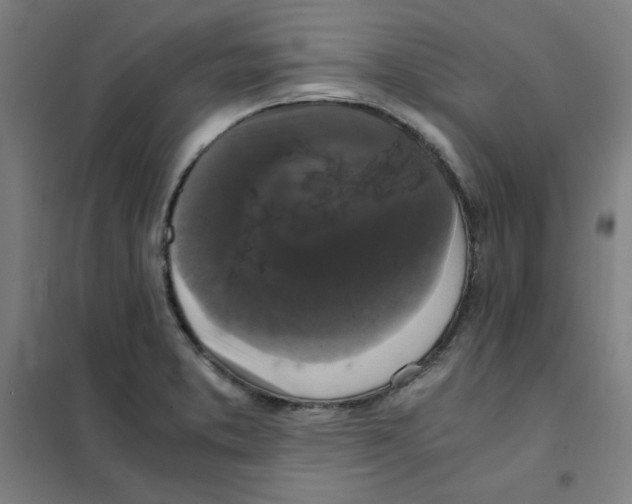 X0000101411373200808041054