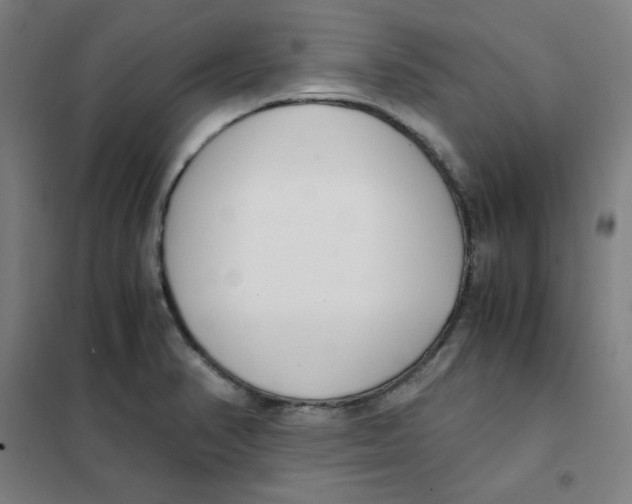 X0000101411374200808041054