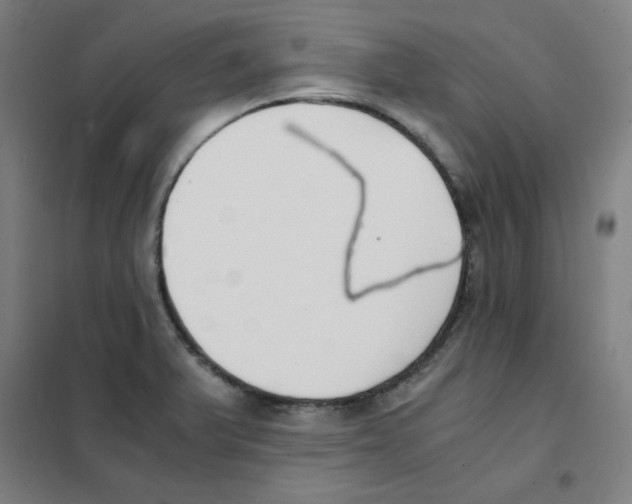 X0000101411375200808041054