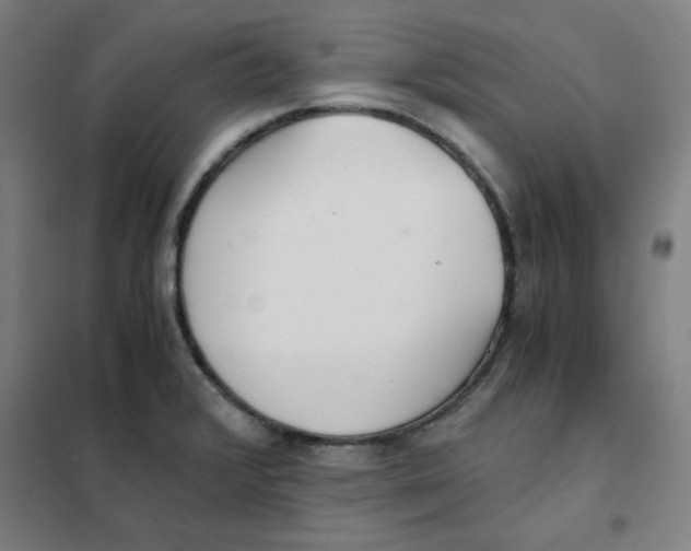 X0000101411376200808041054