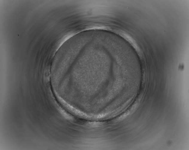 X0000101411377200808041054