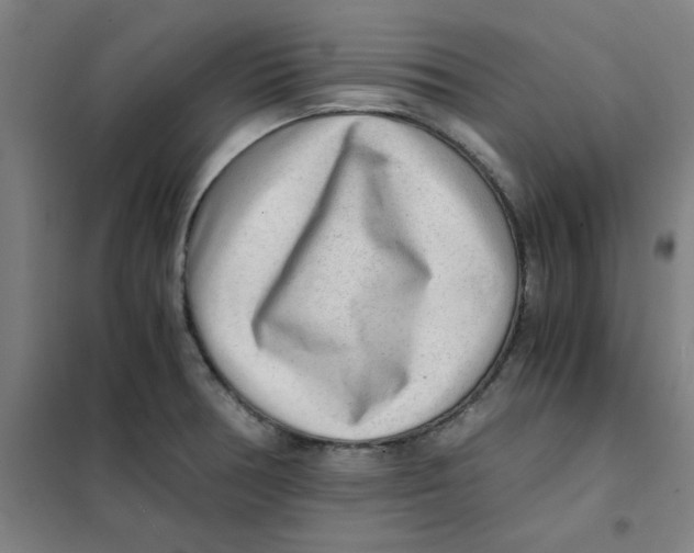 X0000101411378200808041054