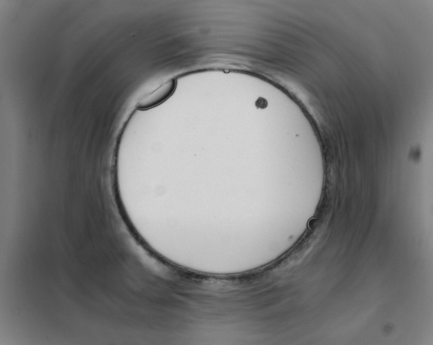 X0000101411379200808041054