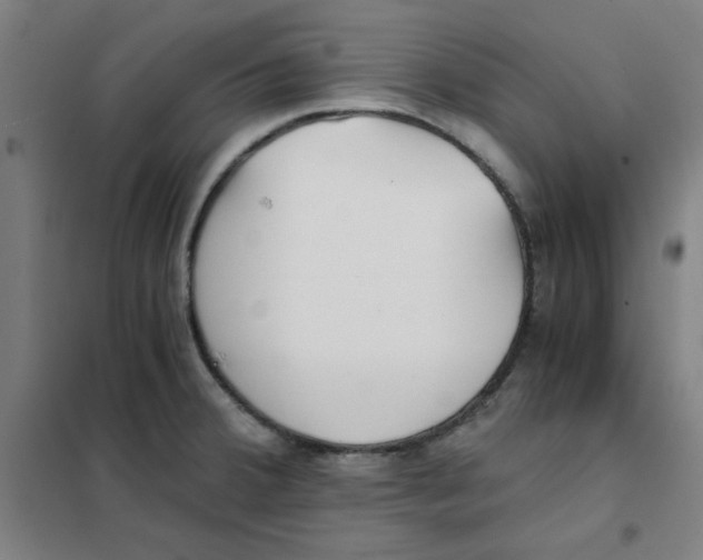 X0000101411380200808041054