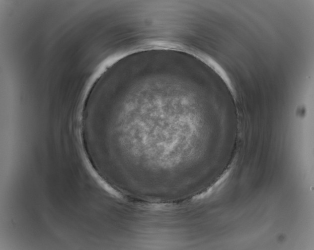 X0000101411381200808041054