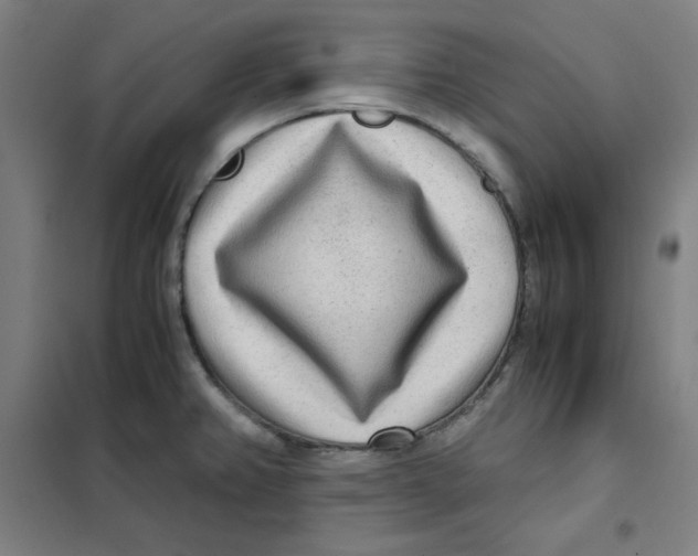 X0000101411382200808041054
