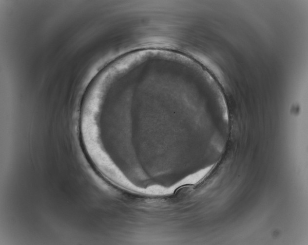 X0000101411383200808041054