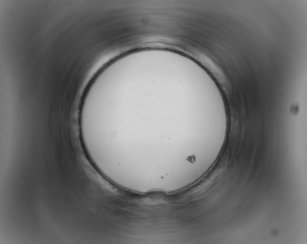 X0000101411384200808041054