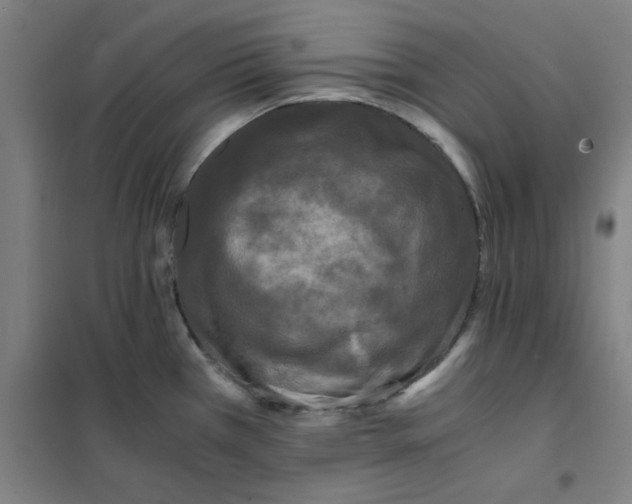 X0000101411385200808041054