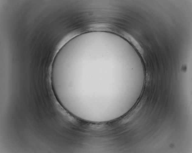X0000101411386200808041054
