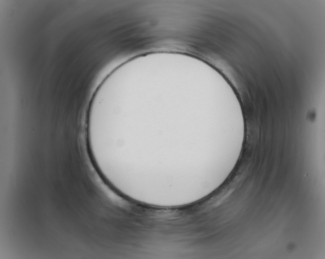 X0000101411387200808041054