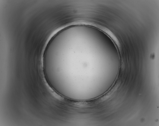 X0000101411388200808041054