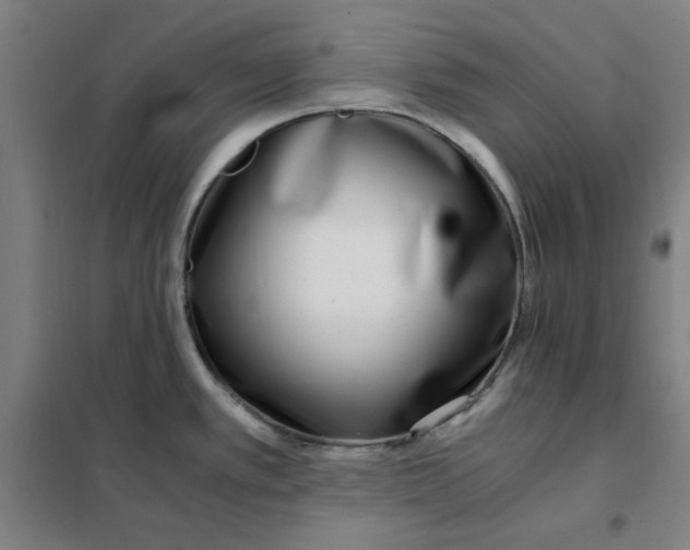 X0000101411389200808041054
