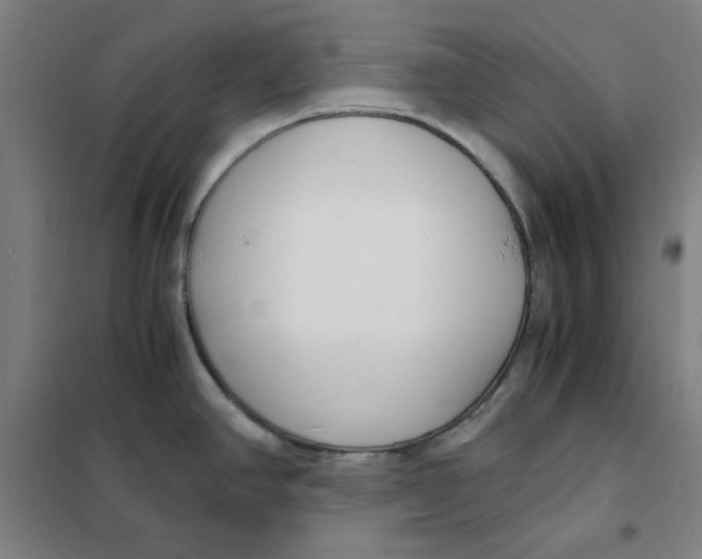 X0000101411390200808041054