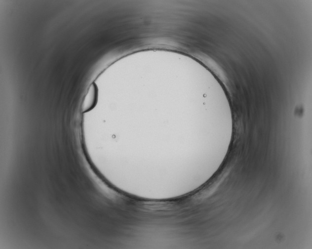 X0000101411391200808041054