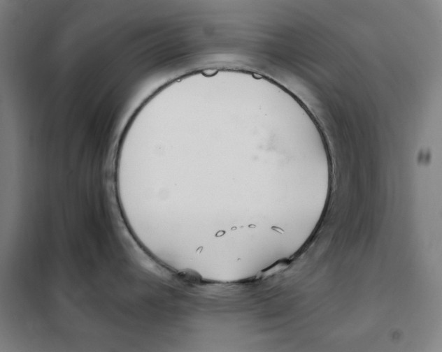 X0000101411392200808041054