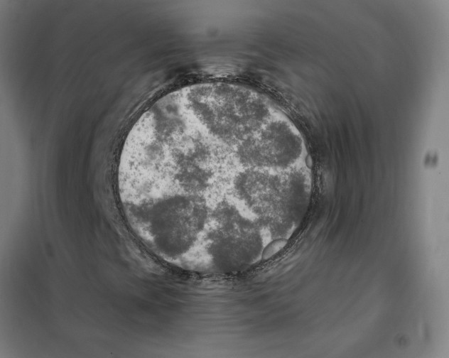 X0000101411393200808041053