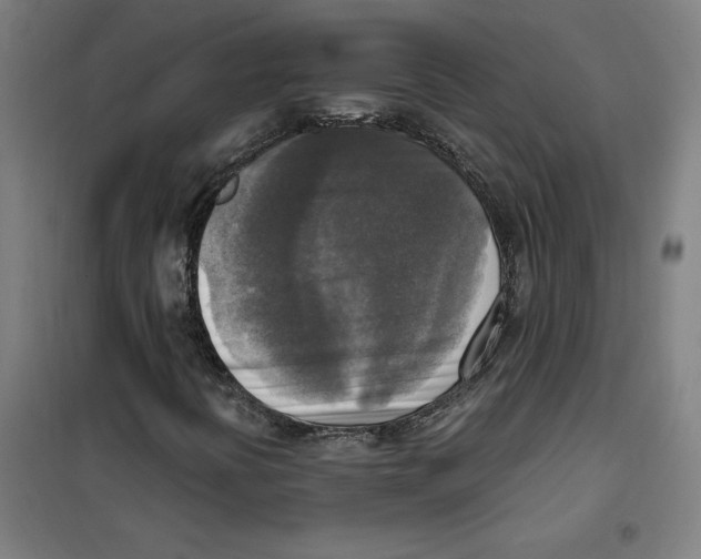 X0000101411394200808041053