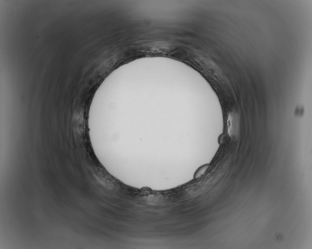 X0000101411395200808041053