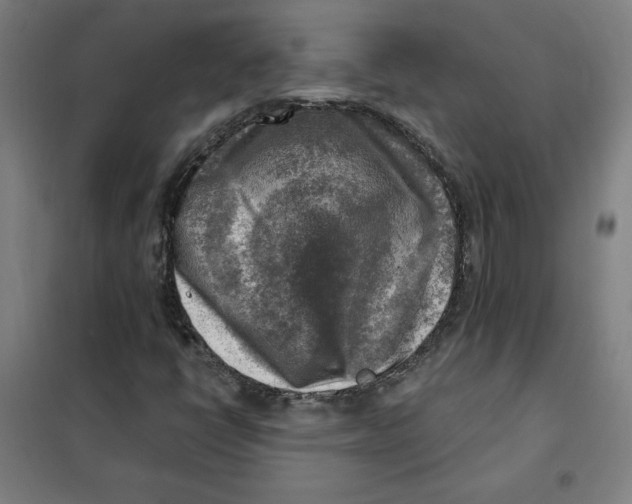 X0000101411398200808041053